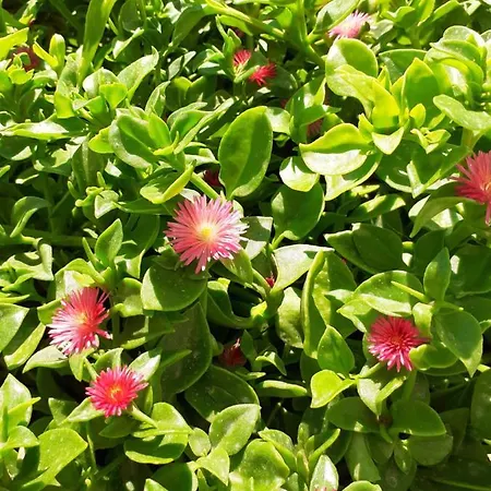 Znjan 50m ----seasun&relax---- Location Split