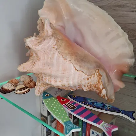 Znjan 50m ----seasun&relax---- Location Lejlighed Split