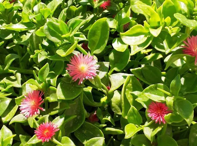 Znjan 50m ----seasun&relax---- Location ספליט